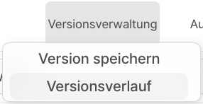 Version speichern Bild